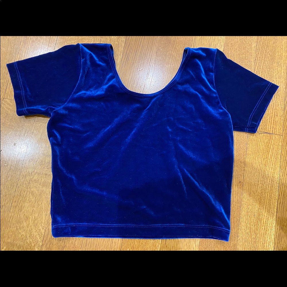 NWOT✨American Apparel velvet crop top